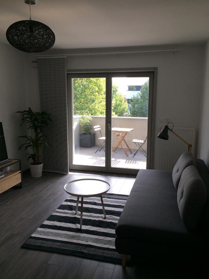 F2 Cote Ugc Climatise Plein Centre Parking Gratuit Apartment Страсбург Екстериор снимка